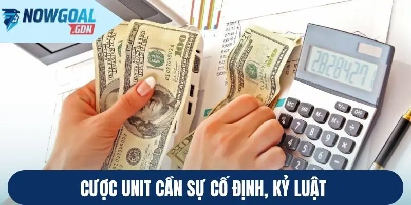 Cược Unit cần sự cố định, kỷ luật 